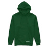 Lexus IS IS200 hoodie green